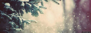 Beautiful Snow Tree Facebook Cover