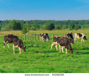 Discussions → Colour My Word