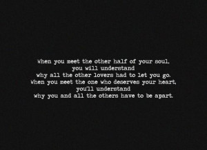 meet the other half of your soul you will understand why all the other ...
