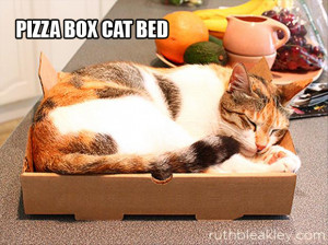 Return to Amazing Uses For Pizza Boxes – 22 Pics