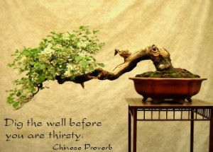 wise-quote.jpg
