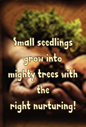 Mighty oaks from little acorns grow . . .