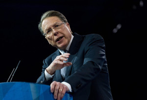 Monaco Global website coming soon. Contact Us: Monaco Global .