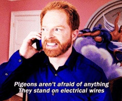 Mitchell Pritchett on Modern Family