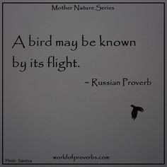 Russian Quotes
