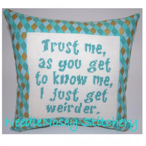 Cross Stitch Pillow Funny Quote, Teal Pillow, Weird Quote