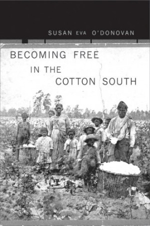 Start by marking “Becoming Free in the Cotton South” as Want to ...