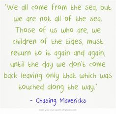 ... quotes tv quotes favorite quotes mavericks quotes quotes book ocean