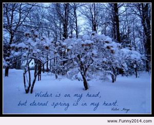 Funny Quotes About Winter. QuotesGram