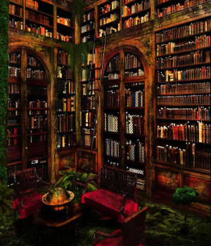 ... , these big, beautiful libraries “scream” elegance and beauty