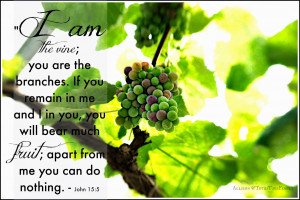 John 15:5 The Vine Bearing Fruit