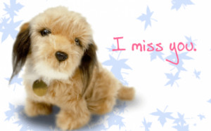 Miss You Like Crazy…, Miss You SMS, Picture SMS