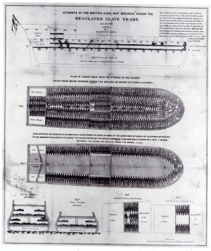 The slave decks of the ship Brooks , 1788