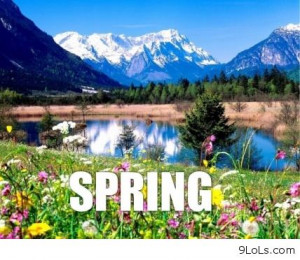 ... conversations, funny easter, funny pics, funny pictures, funny quotes