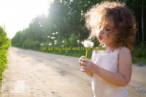 Let go my soul and trust in Him. Uit het nummer It is well van ...