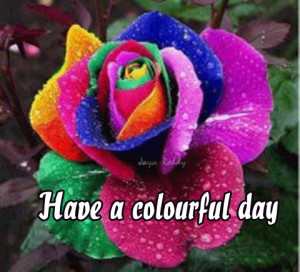 This picture was submitted by JayA reDdy.