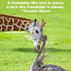 friendship like love is warm; a love like friendship is steady.