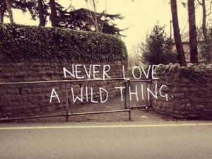Never Love A Wild Thing