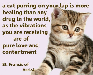 St Francis Of Assisi Quotes About Animals