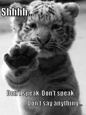 ... bullets over broadway funny quotes cute cat kitty sweet adorable love