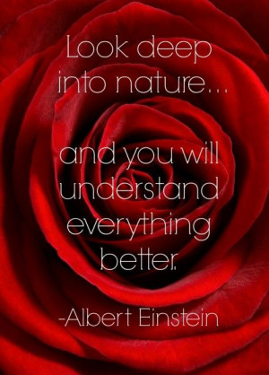Gardening quote by Albert Einstein (and 35 others)