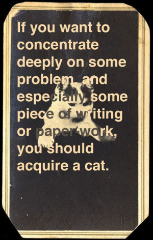 Muriel Sparks on how a cat can boost your creative productivity.
