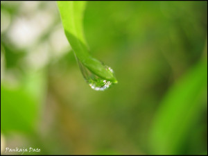 life lightly dance on the edges of Time like dew on the tip of a leaf