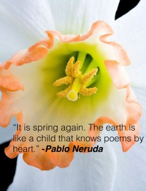 If you haven’t noticed I love Pablo Neruda:)