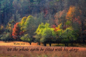 Let the whole earth be filled with His glory Psalm 72-19