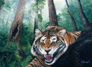 Calm Tiger Laughing Hunter