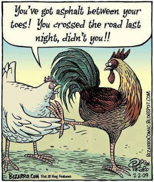 chicken finally gets to cross the road.