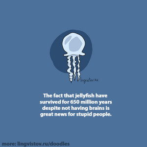 Funny Quote About Jellyfish