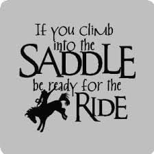 horse quotes and sayings - Google Search