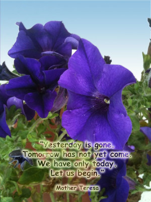 Yesterday is gone. Tomorrow has not yet come. We have only today. Let ...