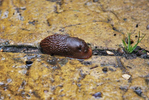 Funny Quotes Contact Us DMCA Notice