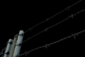 Barbwire Fence | PSD Detail