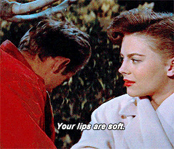404 Rebel Without a Cause quotes