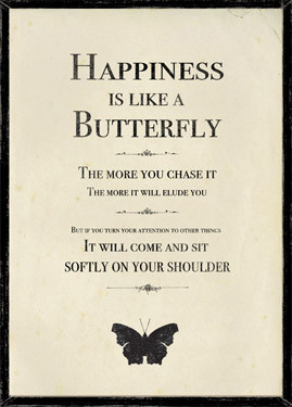 Happiness is Like a butterfly.