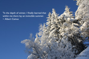 Winter Quotes Picture Wallpaper Detail