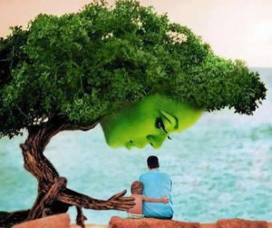 plant tree, Inspirational Quotes, Pictures & Motivational Thoughts