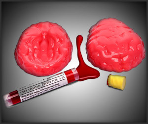 gummy brain candy the awesomer