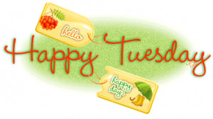 ... 15 18 happy tuesday happy tuesday hello tuesday tuesday tuesday quotes
