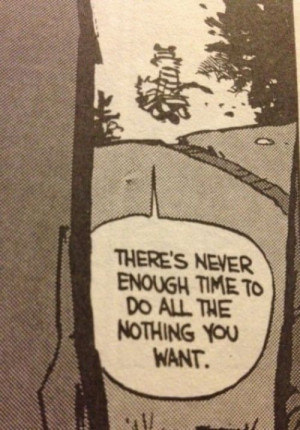... to do all the nothing you want quotes about life calvin and hobbes