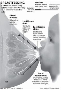 Breastfeeding Quotes