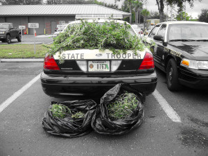 States May Legalize Marijuana In 2013 - Business Insider