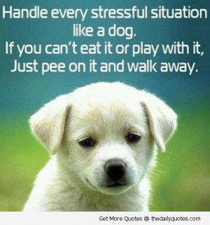 ... quotes » funny quotes » handle every stressful situation like a dog