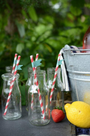 Summer Picnic Party Via...