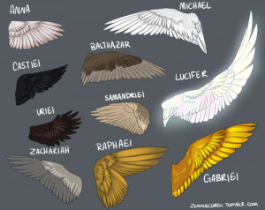 ... wing coloration as well as raphael anyways was practicing wing anatomy