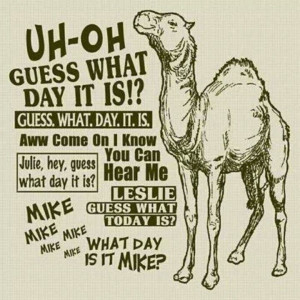 ... we always go guess what day it is hump day the peak of the week