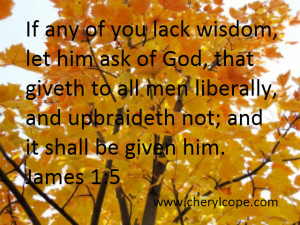 If any of you lack wisdom, let him ask of God, that giveth to all men ...